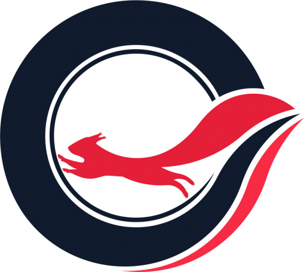 Логотип компании ШИНСЕРВИС